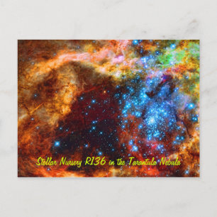 Stellar Nursery R136 in the Tarantula Nebula Postcard