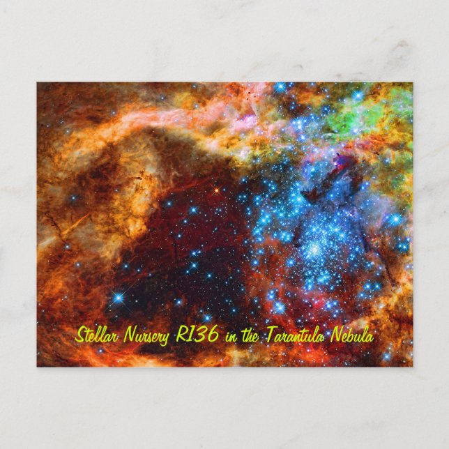 Stellar Nursery R136 in the Tarantula Nebula Postcard (Front)