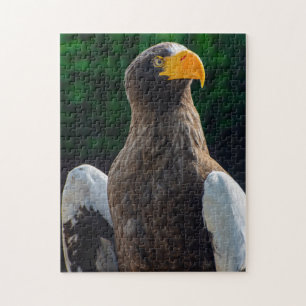 Stellar Sea Eagle Jigsaw puzzle