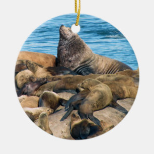 Stellar sea lion and harbour seal ornament