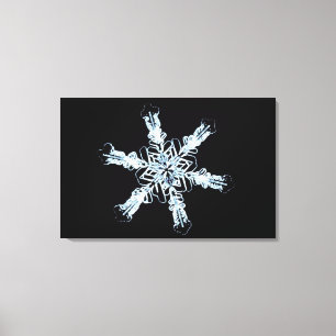 Stellar snow crystal canvas print