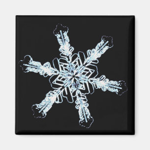 Stellar snow crystal magnet