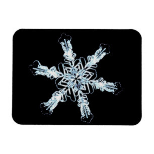 Stellar snow crystal magnet