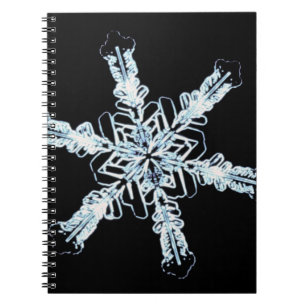 Stellar snow crystal notebook