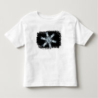 Stellar snow crystal