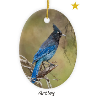 Stellar's Jay Bird Painting Custom Year Christmas Ceramic Tree Decoration