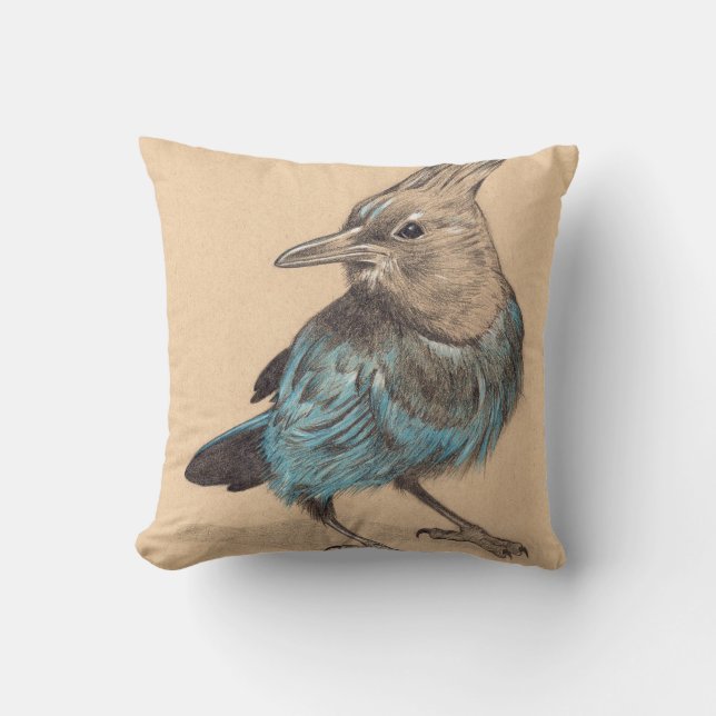 Stellars Jay drawing on toned paper Cushion (Front)