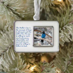 Steller’s Jay Silver Plated Framed Ornament