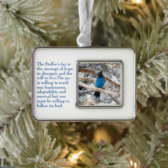 Steller’s Jay Silver Plated Framed Ornament (Tree)