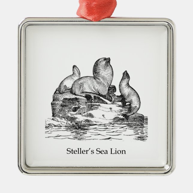 Steller Sea Lion Metal Tree Decoration (Front)