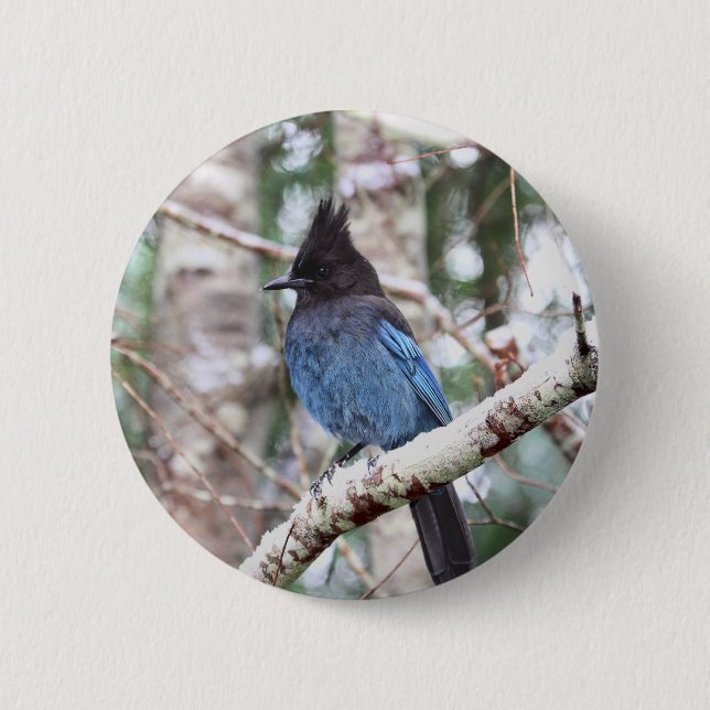 Steller's Jay 6 Cm Round Badge (Front)