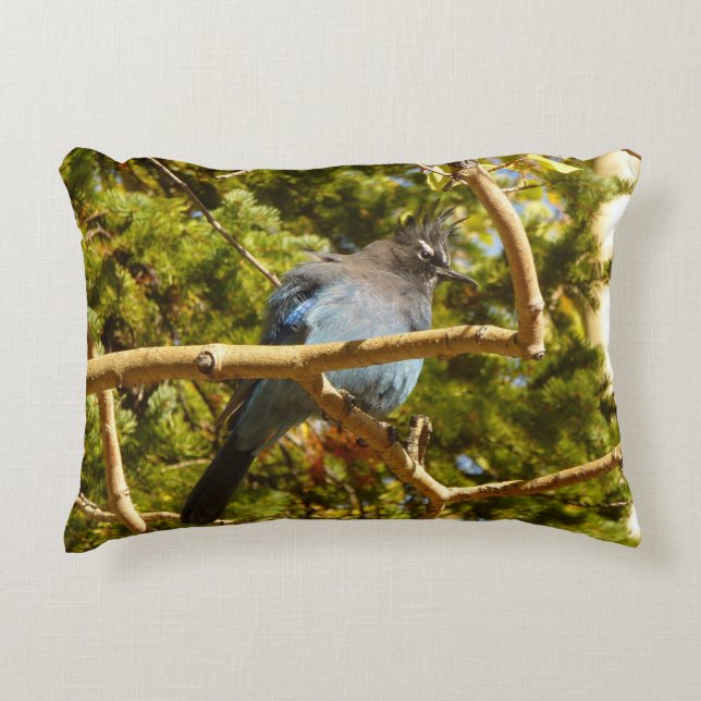 Steller's Jay at Rocky Mountain National Park Decorative Cushion (Front)