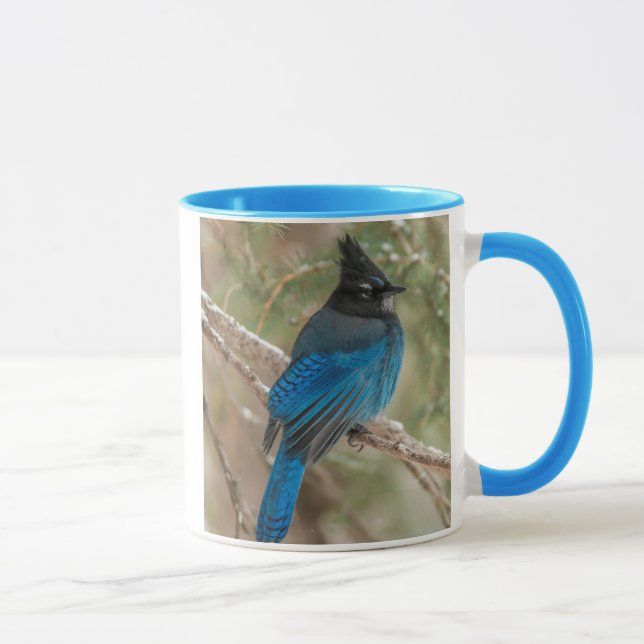 Steller's jay bird in tree mug (Right)