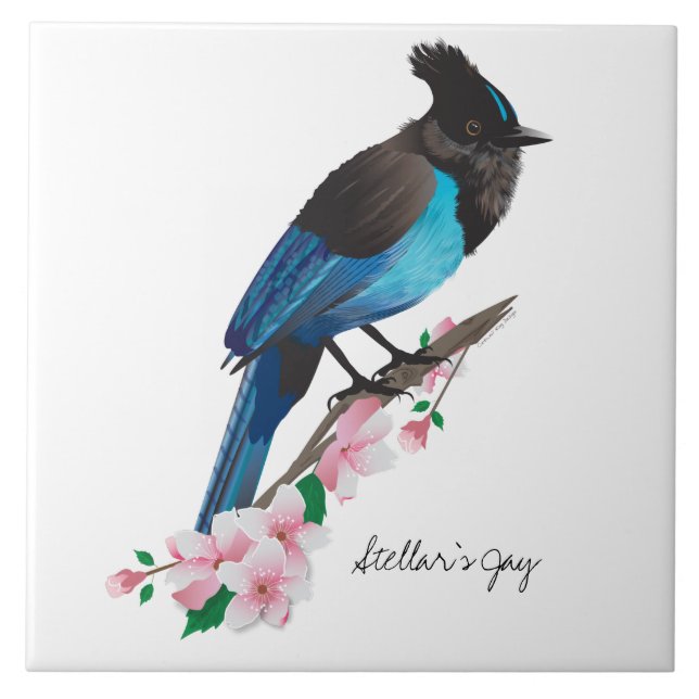 Steller's Jay Ceramic Tile (Front)