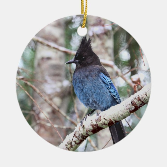 Steller's Jay Ceramic Tree Decoration (Front)