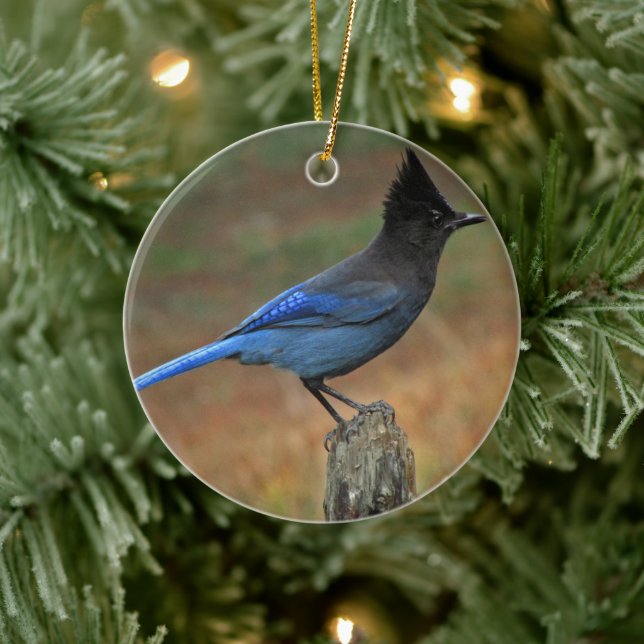 Steller's Jay (Cyanocitta stelleri) Ceramic Tree Decoration (Tree)