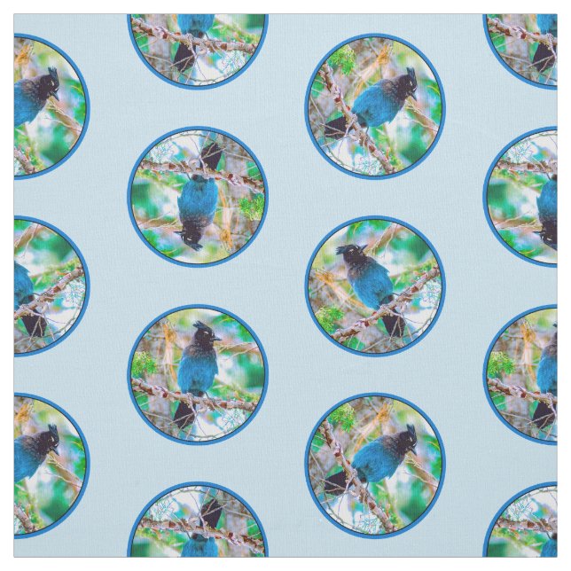 Steller's Jay in Forest Original Photograph Fabric (Swatch)
