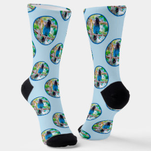Steller's Jay in Forest Original Photograph Socks