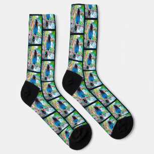 Steller's Jay in Forest Original Photograph Socks