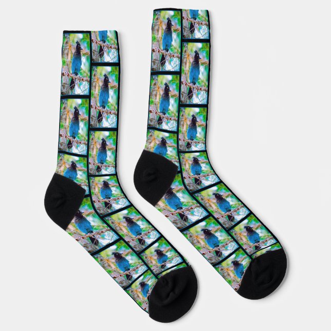 Steller's Jay in Forest Original Photograph Socks (Right)