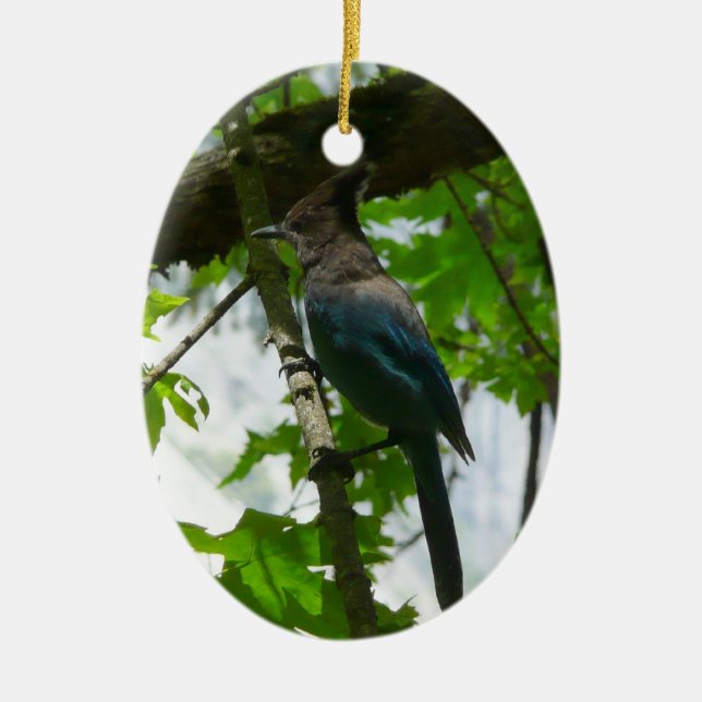 Steller's Jay in Yosemite National Park Ceramic Tree Decoration (Front)