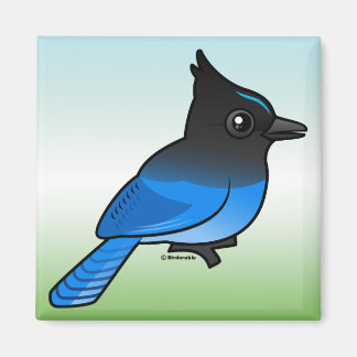 Steller's Jay Magnet