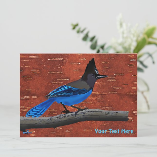 Steller's Jay On Inner Birch Bark (Standing Front)
