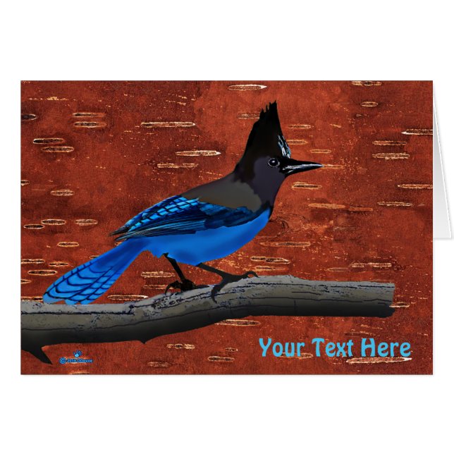 Steller's Jay On Inner Birch Bark (Front Horizontal)