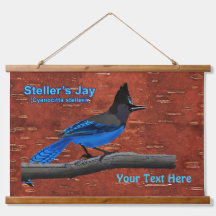 Steller's Jay On Inner Birch Bark