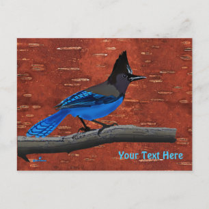 Steller's Jay On Inner Birch Bark Postcard