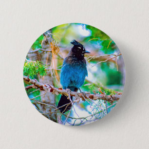 Steller's Jay - Original Photograph 6 Cm Round Badge