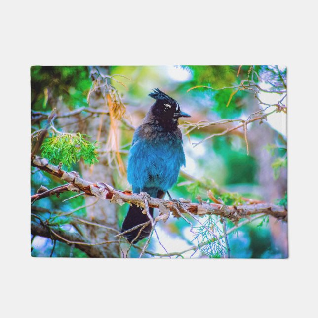 Steller's Jay - Original Photograph Doormat (Front)