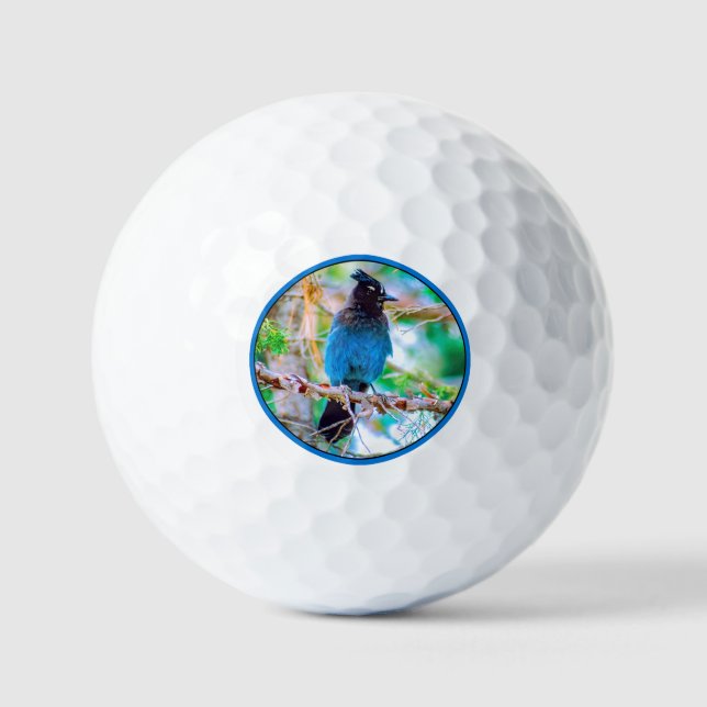 Steller's Jay - Original Photograph Golf Balls (Front)