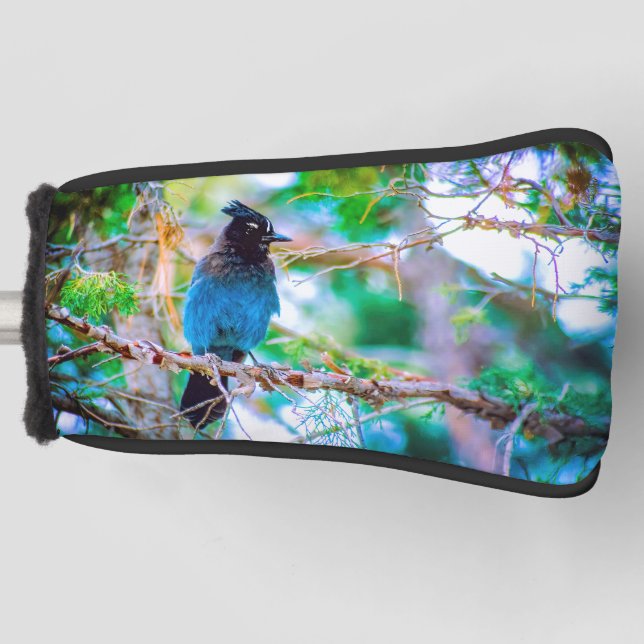 Steller's Jay - Original Photograph Golf Head Cover (Front)