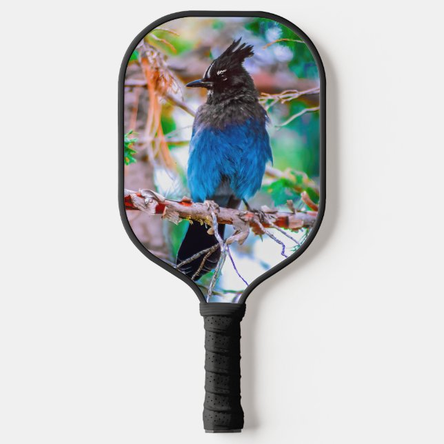 Steller's Jay - Original Photograph Pickleball Paddle (Front)