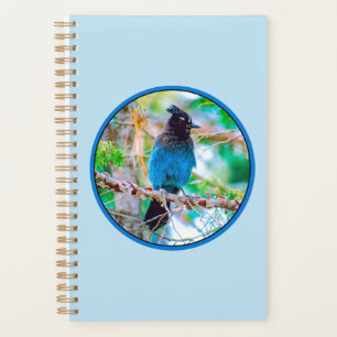 Steller's Jay - Original Photograph Planner