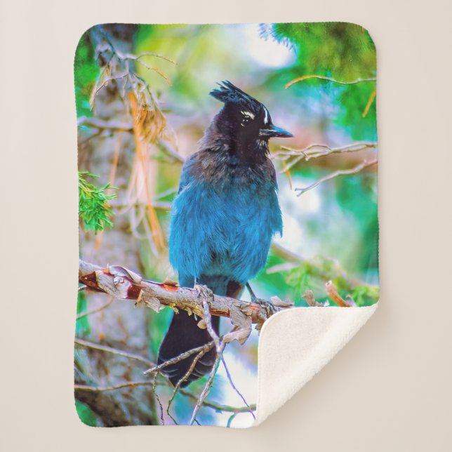 Steller's Jay - Original Photograph Sherpa Blanket (Front)