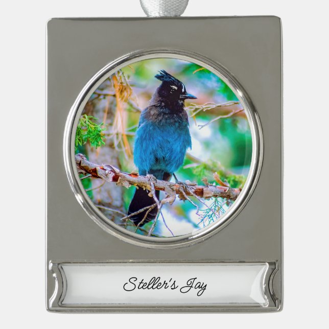 Steller's Jay - Original Photograph Silver Plated Banner Ornament (Front)