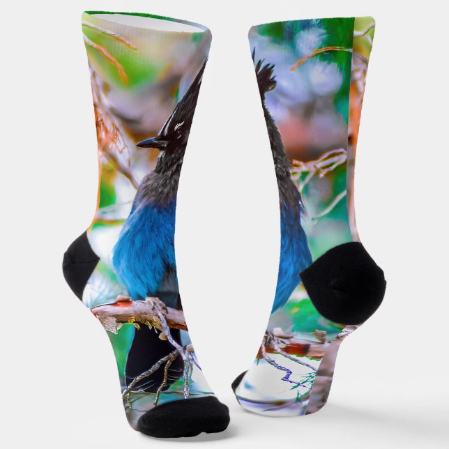Steller's Jay - Original Photograph Socks (Angled)