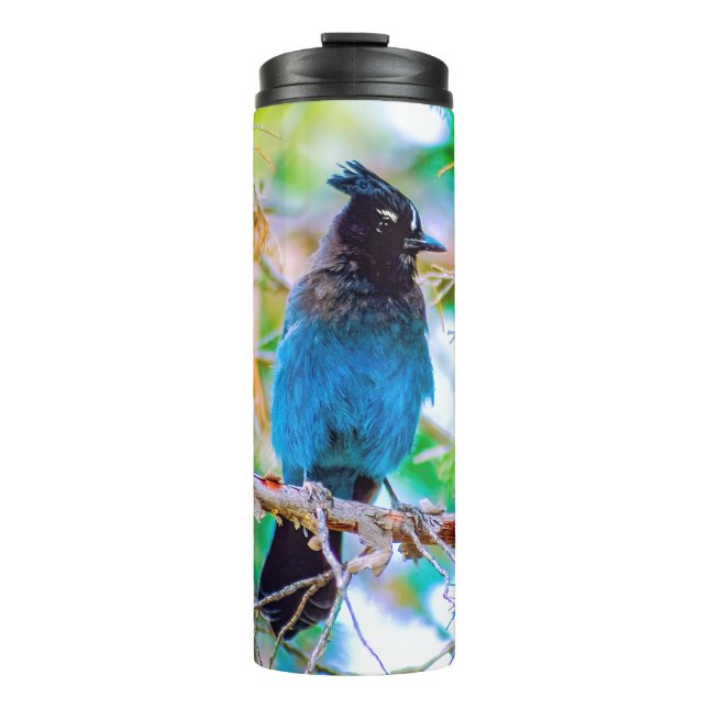 Steller's Jay - Original Photograph Thermal Tumbler (Front)
