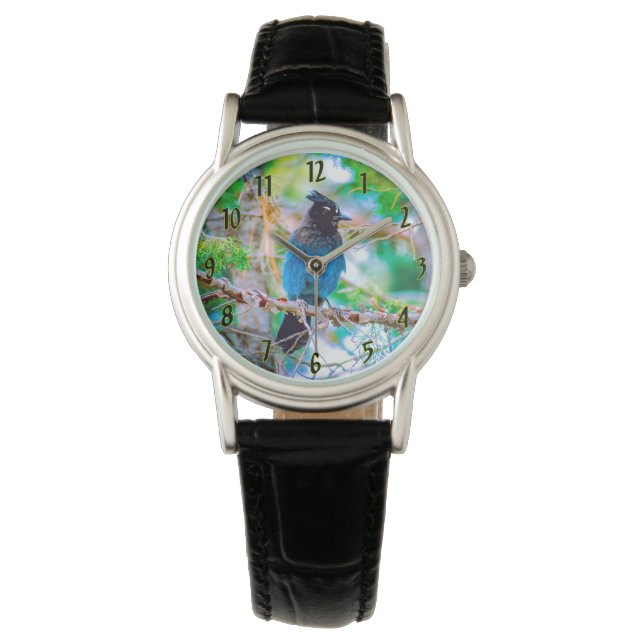 Steller's Jay - Original Photograph Watch (Front)