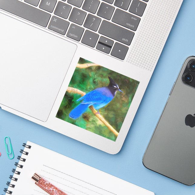Steller's Jay Painting - Original Bird Art (Laptop w/ iPhone)