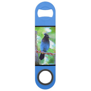 Steller's Jay Painting - Original Bird Art