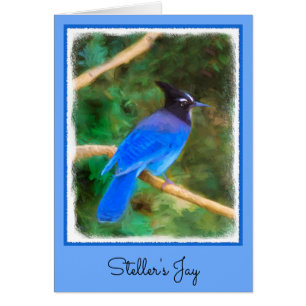 Steller's Jay Painting - Original Bird Art