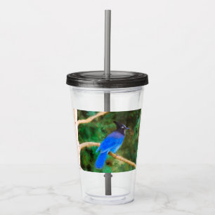 Steller's Jay Painting - Original Bird Art Acrylic Tumbler