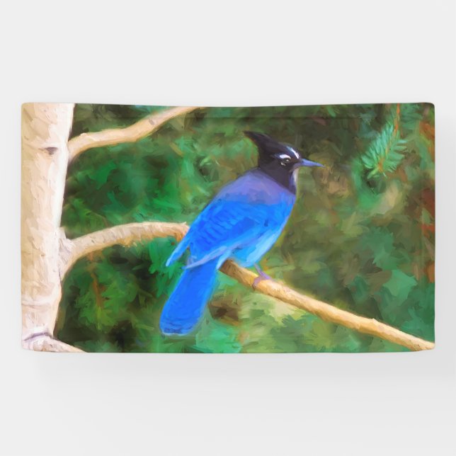 Steller's Jay Painting - Original Bird Art Banner (Horizontal)