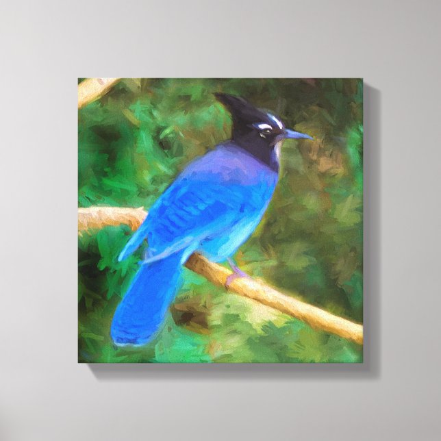 Steller's Jay Painting - Original Bird Art Canvas Print (Front)