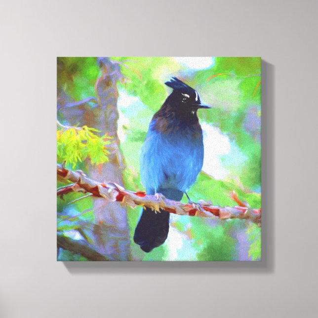 Steller's Jay Painting - Original Bird Art Canvas Print (Front)
