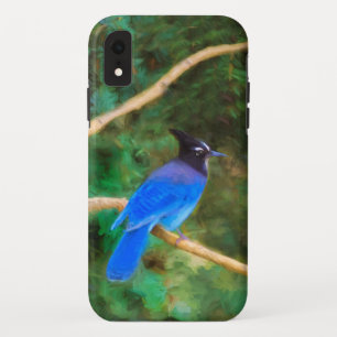 Steller's Jay Painting - Original Bird Art iPhone XR Case