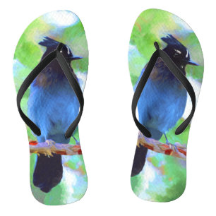 Steller's Jay Painting - Original Bird Art Flip Flops